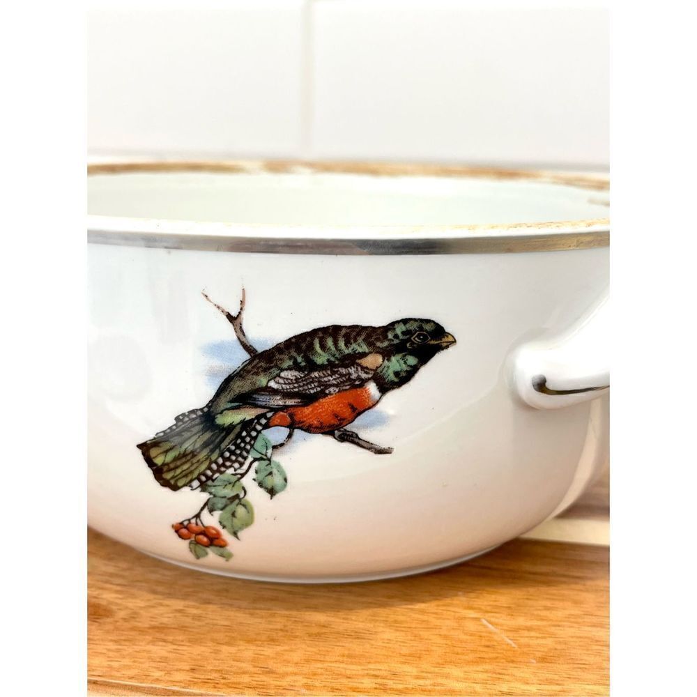 Rare Vintage Pillivuyt France Covered Tureen | Exotic Birds Porcelain - Picture 11 of 12